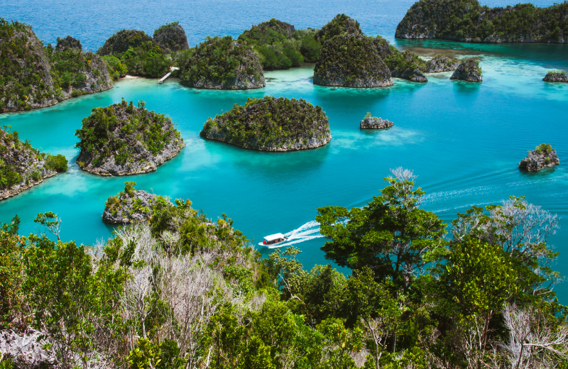 Raja ampat island Indonesia