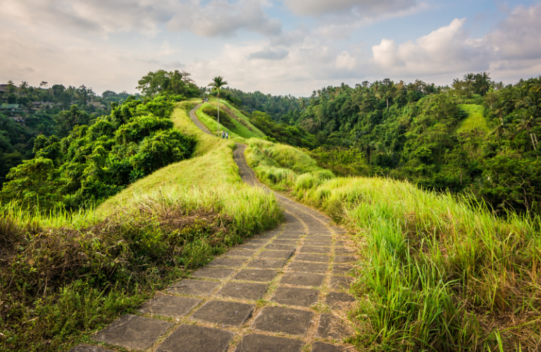 campuhan ridge walk bali