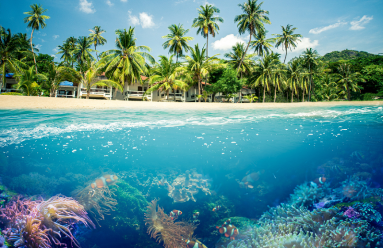 coral island in thailand