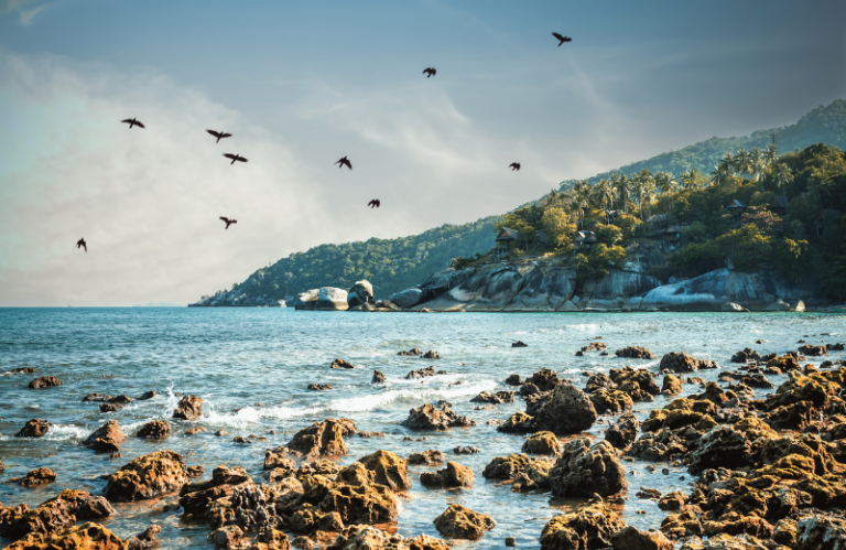 haad yuan koh phangan