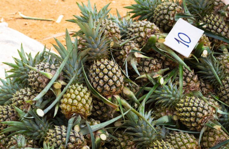 khao lak market