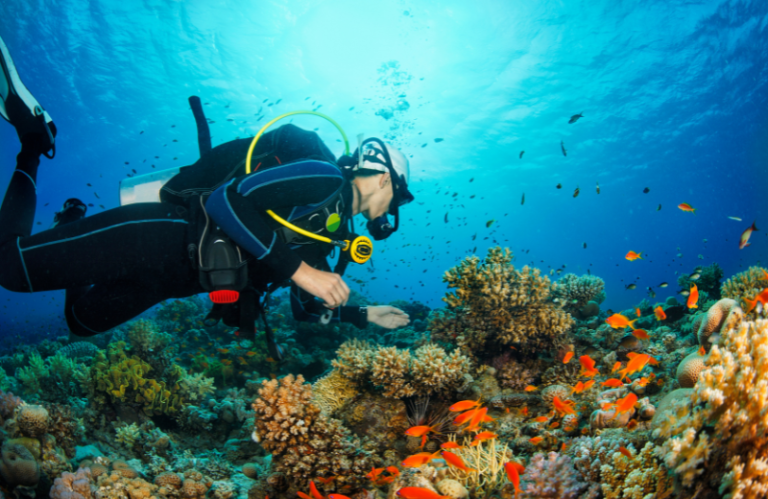 Scuba diving lessons koh tao